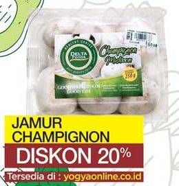 Promo Harga Jamur Champignon (Jamur Kancing)  - Yogya