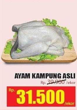 Promo Harga Ayam Kampung  - Hari Hari
