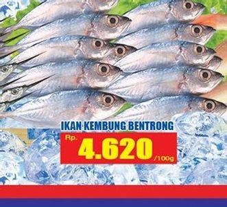 Promo Harga Ikan Kembung Bentrong per 100 gr - Hari Hari