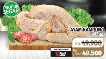 Promo Harga Ayam Kampung  - Lotte Grosir