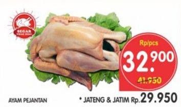 Promo Harga Ayam Pejantan  - Superindo