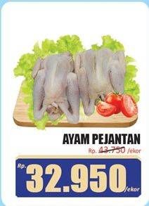 Promo Harga Ayam Pejantan 500 gr - Hari Hari