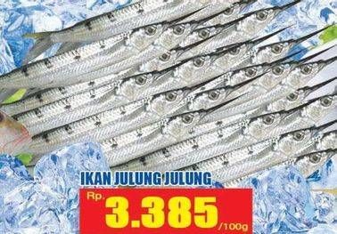 Promo Harga Ikan Julung Julung per 100 gr - Hari Hari