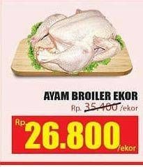 Promo Harga Ayam Broiler  - Hari Hari