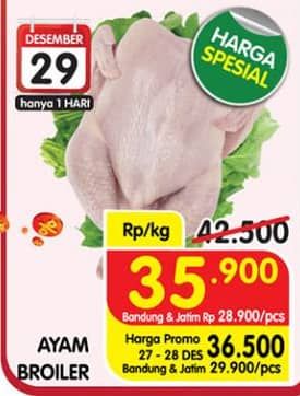 Promo Harga Ayam Broiler  - Superindo