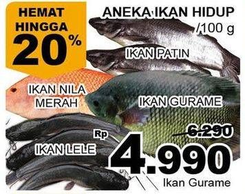Promo Harga Ikan Patin/Gurame/Nila Merah/Lele  - Giant