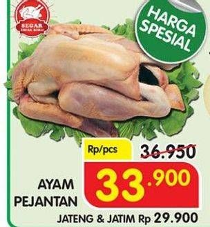 Promo Harga Ayam Pejantan  - Superindo