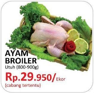 Promo Harga Ayam Broiler  - Yogya