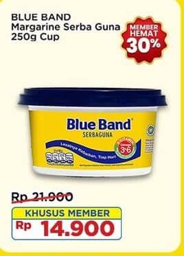 Promo Harga Blue Band Margarine Serbaguna 250 gr - Indomaret