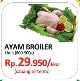 Promo Harga Ayam Broiler  - Yogya