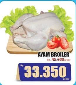 Ayam Broiler