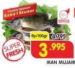 Promo Harga Ikan Mujair per 100 gr - Superindo