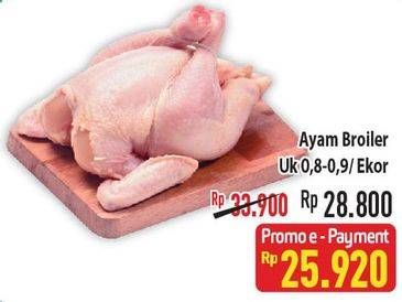 Promo Harga Ayam Broiler Ekor  - Hypermart