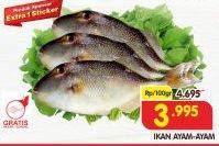 Promo Harga Ikan Ayam-Ayam per 100 gr - Superindo