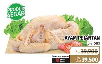 Promo Harga Ayam Pejantan 6-7ons  - Lotte Grosir