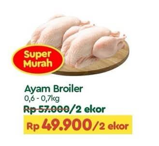 Promo Harga Ayam Broiler 600 gr - TIP TOP