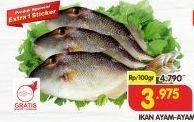 Promo Harga Ikan Ayam-Ayam per 100 gr - Superindo