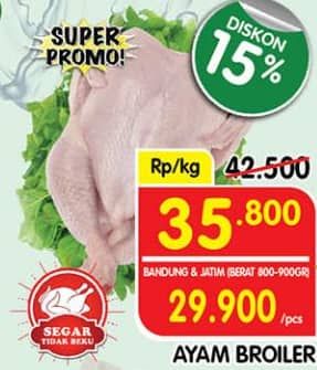 Ayam Broiler