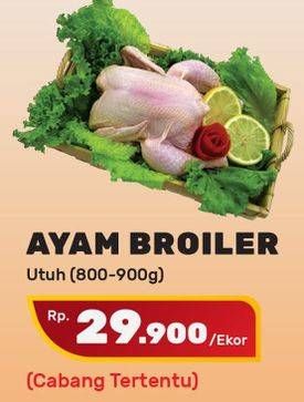 Promo Harga Ayam Broiler  - Yogya