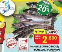 Promo Harga Ikan Lele Dumbo/ Patin/ Mas  - Superindo