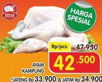 Promo Harga Ayam Kampung  - Superindo