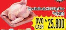 Promo Harga Ayam Broiler  - Hypermart