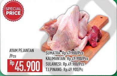 Promo Harga Ayam Pejantan  - Hypermart