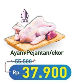 Promo Harga Ayam Pejantan 500 gr - Hypermart