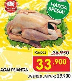 Promo Harga Ayam Pejantan  - Superindo