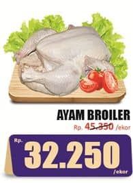 Ayam Broiler