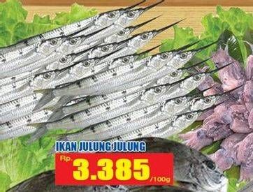 Promo Harga Ikan Julung Julung per 100 gr - Hari Hari