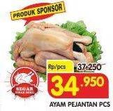 Promo Harga Ayam Pejantan  - Superindo