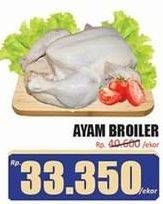 Promo Harga Ayam Broiler 900 gr - Hari Hari