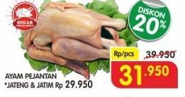 Promo Harga Ayam Pejantan  - Superindo