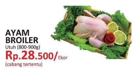 Promo Harga Ayam Broiler  - Yogya