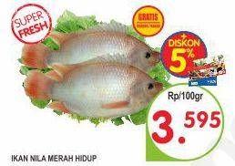 Promo Harga Ikan Nila Merah Hidup  - Superindo