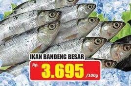 Promo Harga Ikan Bandeng Besar per 100 gr - Hari Hari