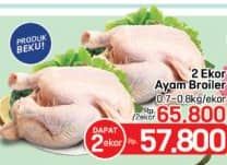 Ayam Broiler