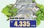 Promo Harga Ikan Kue Gatep per 100 gr - Hari Hari