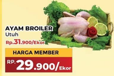 Promo Harga Ayam Broiler 500 gr - Yogya