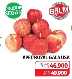 Promo Harga Apel Royal Gala USA  - Lotte Grosir