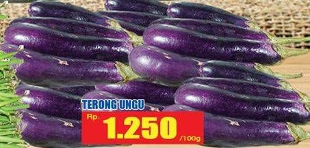 Promo Harga Terong Ungu per 100 gr - Hari Hari