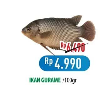 Promo Harga Ikan Gurame  - Hypermart