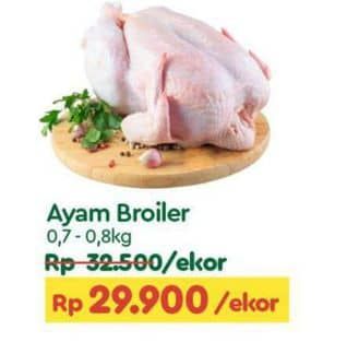 Promo Harga Ayam Broiler 700 gr - TIP TOP