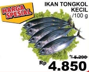 Promo Harga Ikan Tongkol Kecil per 100 gr - Giant