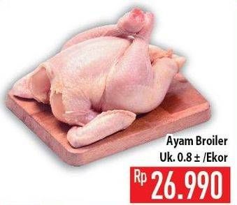 Promo Harga Ayam Broiler 800 gr - Hypermart