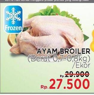 Promo Harga Ayam Broiler  - LotteMart