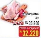 Promo Harga Ayam Pejantan  - Hypermart