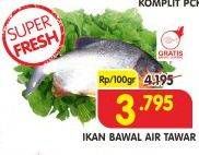 Promo Harga Ikan Bawal Tawar per 100 gr - Superindo