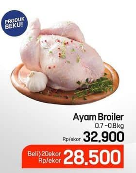 Promo Harga Ayam Broiler 700 gr - Lotte Grosir